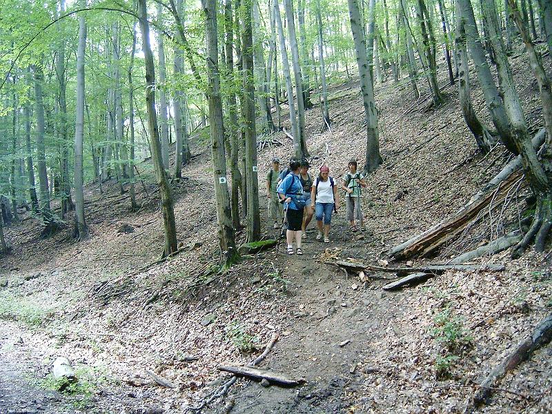 20100814 046.jpg